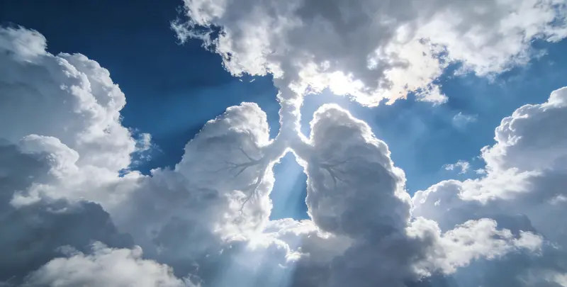 廊坊肺癌靶向120基因检测（组织）图片1