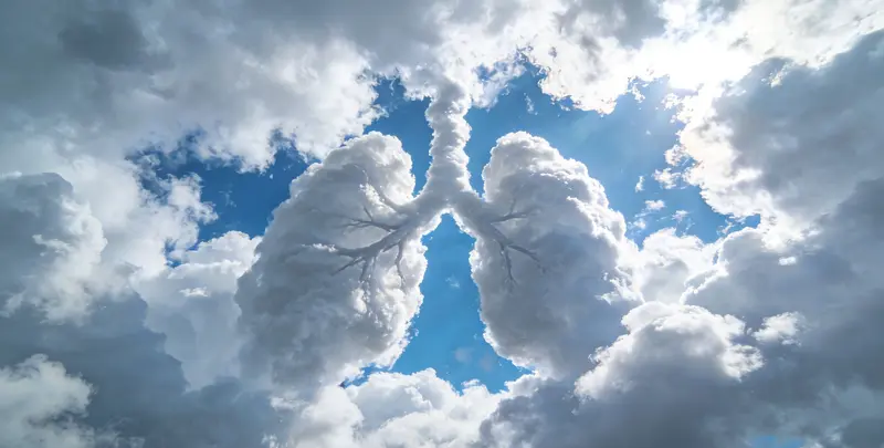 肺癌靶向120基因检测（组织）图4