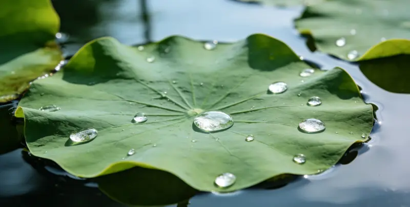 廊坊乳腺癌21基因mRNA表达分析图片1