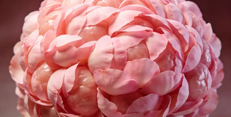 廊坊BRCA1/2乳腺癌卵巢癌基因检测图片1